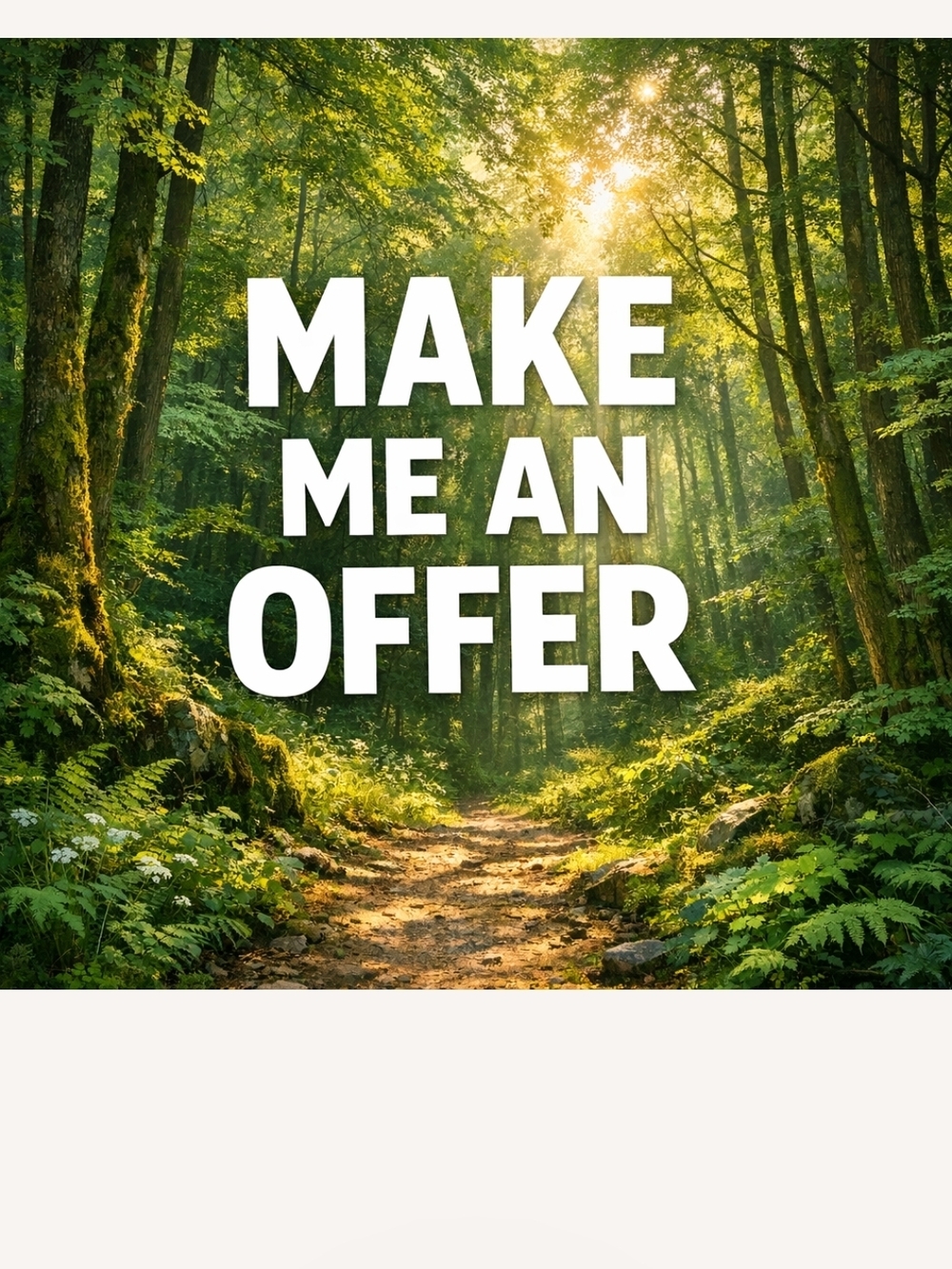 'Make Me An Offer'
